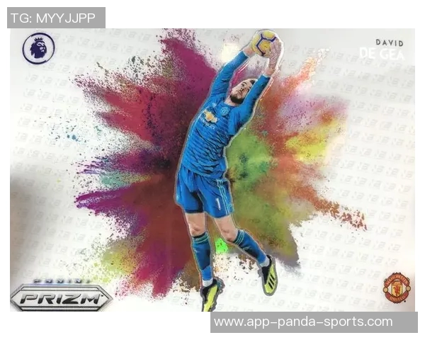 白闪球星卡市场价格分析及投资潜力探讨